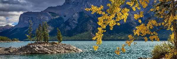 Drzewa, Wysepka, Kanada, Alberta, Góry Skaliste, Gałęzie, Park Narodowy Banff, Lake Minnewanka