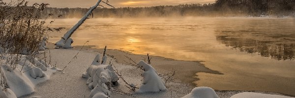 Zima, Śnieg, Jezioro, Mgła, Las