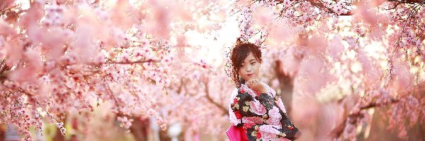 Okwiecone, Kolorowe, Kimono, Drzewa, Azjatka, Kobieta