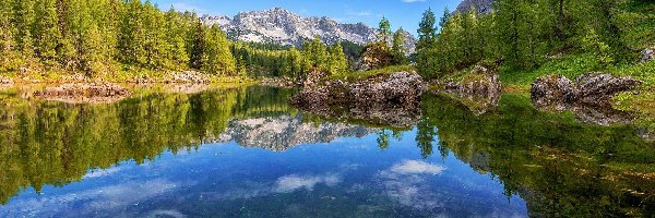 Słowenia, Skały, Drzewa, Jezioro, Góry, Triglavski Park Narodowy, Odbicie