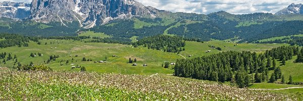Płaskowyż Seiser Alm, Dolina Val Gardena, Lato, Drzewa, Łąka, Włochy, Dolomity, Domy, Góry Sassolungo