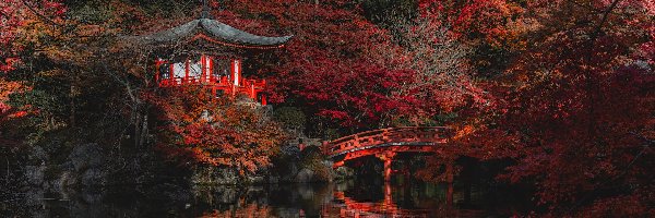 Drzewa, Kompleks Daigo-ji, Świątynia, Kioto, Japonia, Odbicie, Jesień, Bentendo Temple, Mostek