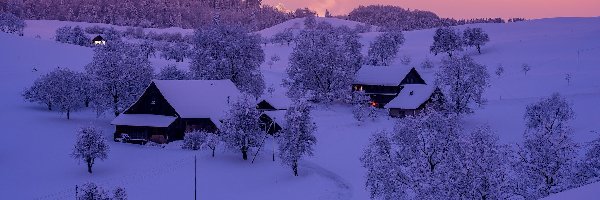 Zima, Domy, Góry, Szwajcaria, Drzewa
