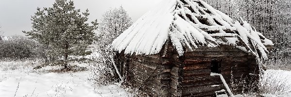 Szopa, Drzewa, Drewniana, Domek, Śnieg, Zima