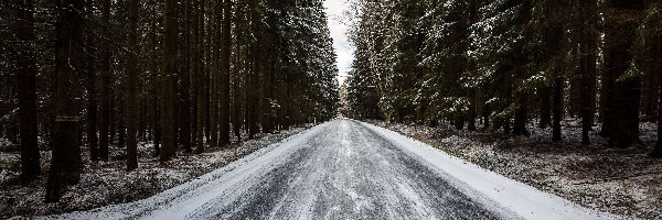 Droga, Śnieg, Las, Zima, Drzewa