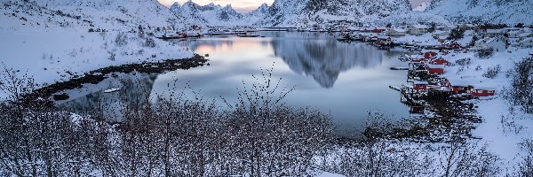 Wieś Reine, Lofoty, Drzewa, Góry, Wyspa Moskenesoya, Morze Norweskie Zima, Domy, Norwegia