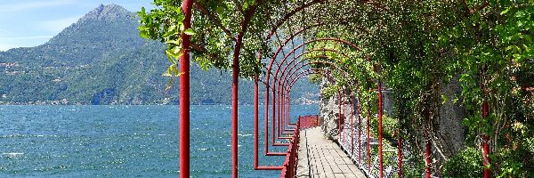Włochy, Jezioro Como, Varenna, Drzewa, Taras spacerowy