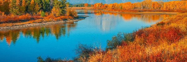 Jesień, Rzeka, Stany Zjednoczone, Trawa, Góry, Teton Range, Drzewa, Park Narodowy Grand Teton, Snake River, Stan Wyoming
