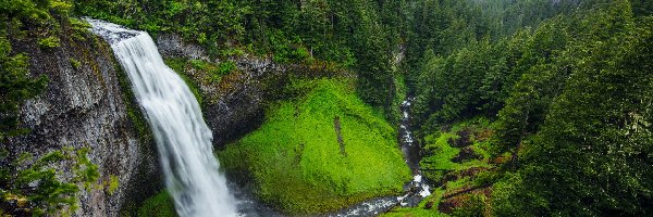 Lasy, Salt Creek Falls, Stany Zjednoczone, Oregon, Skały, Rzeka, Willamette River, Wodospad