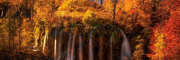 Park Narodowy Jezior Plitwickich, Wodospady, Chorwacja, Jesień, Drzewa