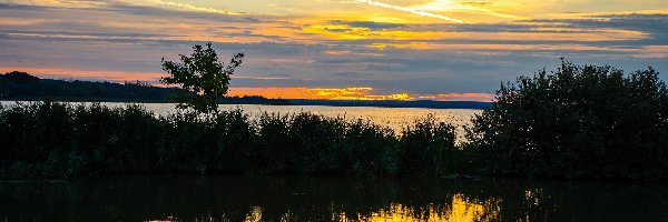 Jezioro Balaton, Krzewy, Zachód słońca, Węgry, Trawa