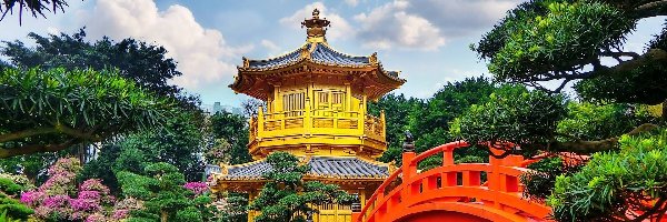 Chiny, Ogród, Chi Lin Nunnery, Golden Pavilion Chi Lin Nunnery Temple, Świątynia, Hongkong, Most Diamond Hill