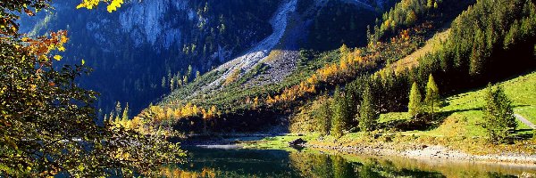 Las, Drzewa, Góry, Austria, Jezioro Gosau