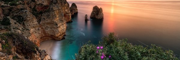 Morze, Zachód słońca, Roślinność, Skały, Wybrzeże, Portugalia, Region Algarve, Chmury, Ocean Atlantycki
