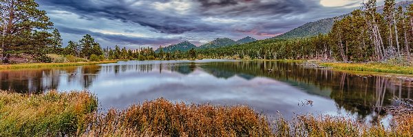 Jezioro, Kolorado, Trawa, Chmury, Park Narodowy Gór Skalistych, Spraque Lake, Drzewa, Stany Zjednoczone