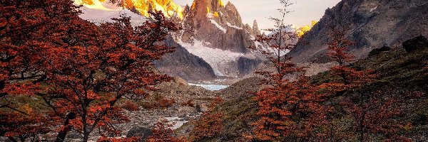 Drzewa, Ośnieżone, Park Narodowy Los Glaciares, Góra Fitz Roy, Jesień, Argentyna, Patagonia, Góry