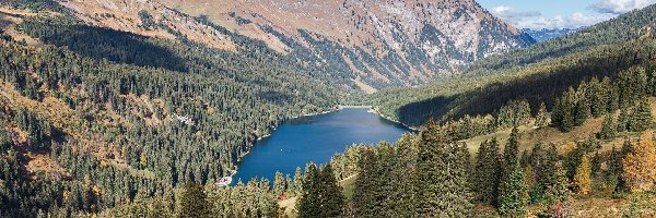 Góry, Drzewa, Jezioro Arnensee, Szwajcaria, Kanton Berno
