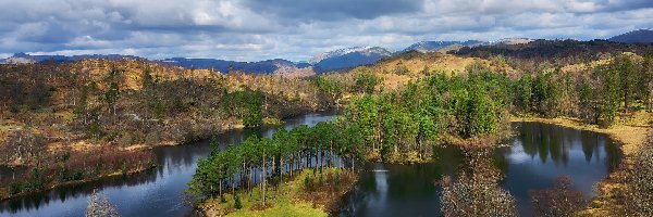 Jezioro Tarn Hows, Drzewa, Lasy, Anglia, Wzgórza, Park Narodowy Lake District