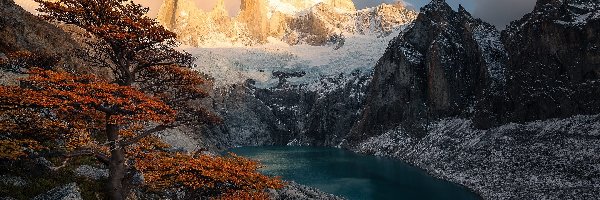 Szczyt, Patagonia, Chmury, Drzewo, Góry, Fitz Roy, Jezioro, Argentyna