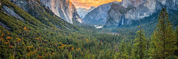 Stany Zjednoczone, Park Narodowy Yosemite, Kalifornia, Drzewa, Góry