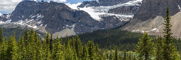 Lasy, Drzewa, Skały, Góry, Park Narodowy Banff, Kanada, Alberta, Śnieg, Lodowiec Crowfoot Glacier