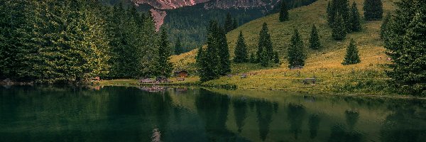 Austria, Drzewa, Jezioro, Las, Góry, Odbicie, Ławki