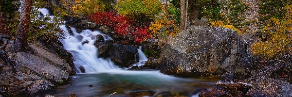 Bishop Creek, Kolorowe, Stany Zjednoczone, Rzeka, Drzewa, Skały, Kamienie, Jesień, Krzewy, Kalifornia