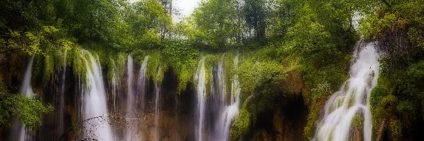 Wodospady, Jezioro, Drzewa, Las, Park Narodowy Jezior Plitwickich, Skały, Natura, Chorwacja