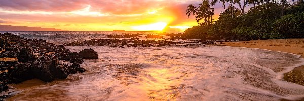Secret Beach, Chmury, Plaża, Palmy, Morze, Stany Zjednoczone, Hawaje, Zachód słońca, Maui