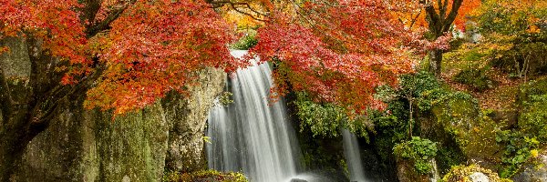 Jesień, Wodospad, Kaskada, Skały, Drzewa, Kamienie, Rzeka