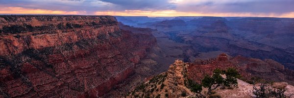 Drzewa, Park Narodowy Wielkiego Kanionu, Grand Canyon, Kolorado, Stany Zjednoczone, Chmury, Skały