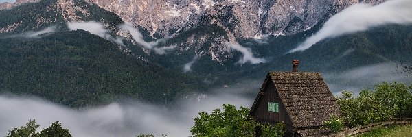 Drzewa, Alpy Julijskie, Słowenia, Kranjska Gora, Las, Dom, Mgła, Góry