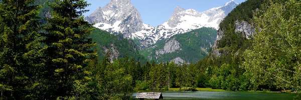 Austria, Las, Drzewa, Alpy, Góry, Hinterstoder, Jesioro Schiederweiher