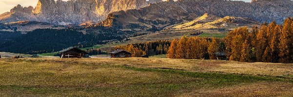 Płaskowyż, Góry, Domy, Jesień, Dolomity, Seiser Alm, Drzewa, Włochy