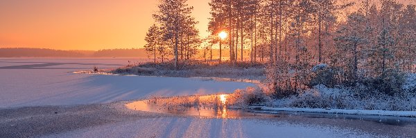 Karelia, Drzewa, Rzeka Siegieża, Rosja, Zima, Wschód słońca