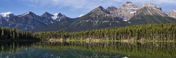 Kanada, Herbert Lake, Drzewa, Jezioro, Góry, Alberta, Odbicie