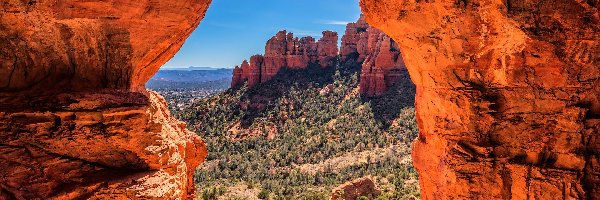 Formacja skalna, Sedona, Czerwone, Arizona, Stany Zjednoczone, Krzewy, Skały