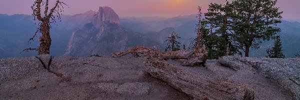 Mgła, Konar, Drzewa, Skały, Góry, Stany Zjednoczone, Kalifornia, Suchy, Park Narodowy Yosemite