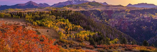 San Juan Mountains, Stany Zjednoczone, Roślinność, Telluride, Krzewy, Las, Góry, Drzewa, Jesień, Stan Kolorado, Kolorowe