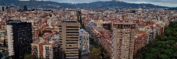 Barcelona, Ulice, Drzewa, Hiszpania, Wieżowce, Miasto