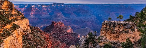 Kanion, Skały, Stany Zjednoczone, Arizona, Drzewa, Grand Canyon, Park Narodowy Wielkiego Kanionu, Góry