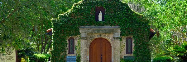 Kaplica Matki Boskiej Karmiącej, Saint Augustine, Drzewa, Stany Zjednoczone, Floryda