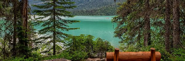 Góry, Emerald Lake, Kanada, Kolombia Brytjska, Drzewa, Ławka, Park Narodowy Yoho, Jezioro
