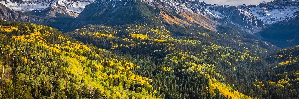 Jesień, Góra, Stany Zjednoczone, Kolorado, Mount Sneffels, Lasy, Drzewa, Góry Skaliste