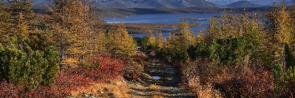 Jesień, Krzewy, Drzewa, Jezioro, Góry Kołymskie, Rosja, Obwód magadański, Skały, Kołyma