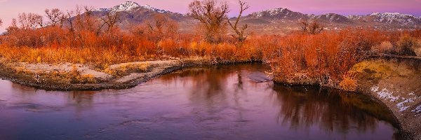 Eastern Sierra, Jesień, Stany Zjednoczone, Owens River, Rośliny, Dolina Owens Valley, Rzeka, Góry, Drzewa, Kalifornia