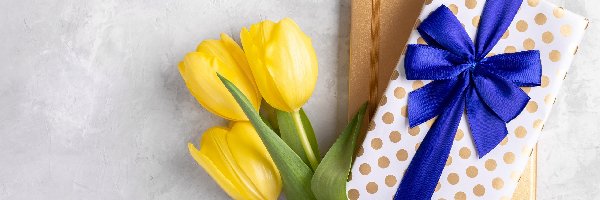 Tulipany, Prezent, Notes, Żółte