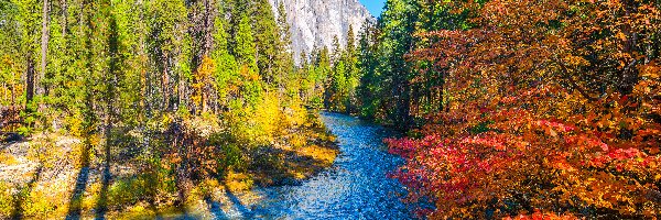 Park Narodowy Yosemite, Jesień, Drzewa, Góry, Kalifornia, Rzeka, Merced River, Stany Zjednoczone