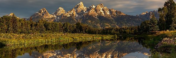 Góry, Jezioro, Stany Zjednoczone, Stan Wyoming, Drzewa, Teton Range, Odbicie, Park Narodowy Grand Teton