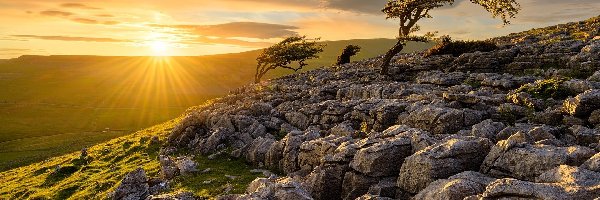 Anglia, Drzewa, Kamienie, Park Narodowy Yorkshire Dales, Wzgórza, Chmury, Wschód słońca